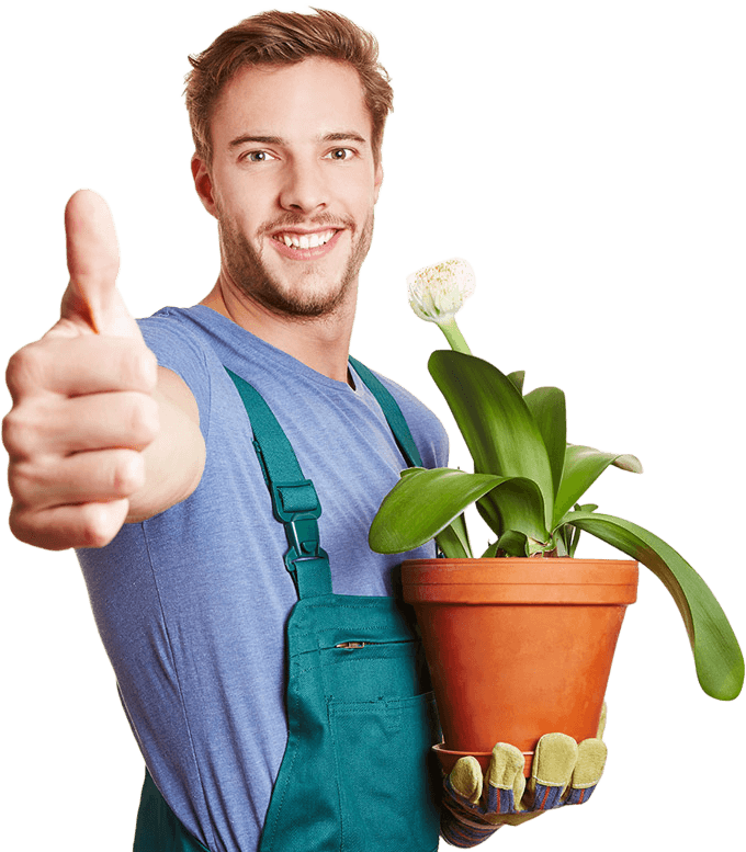 خدمات تنسيق الحدائق بالمدينة المنورة