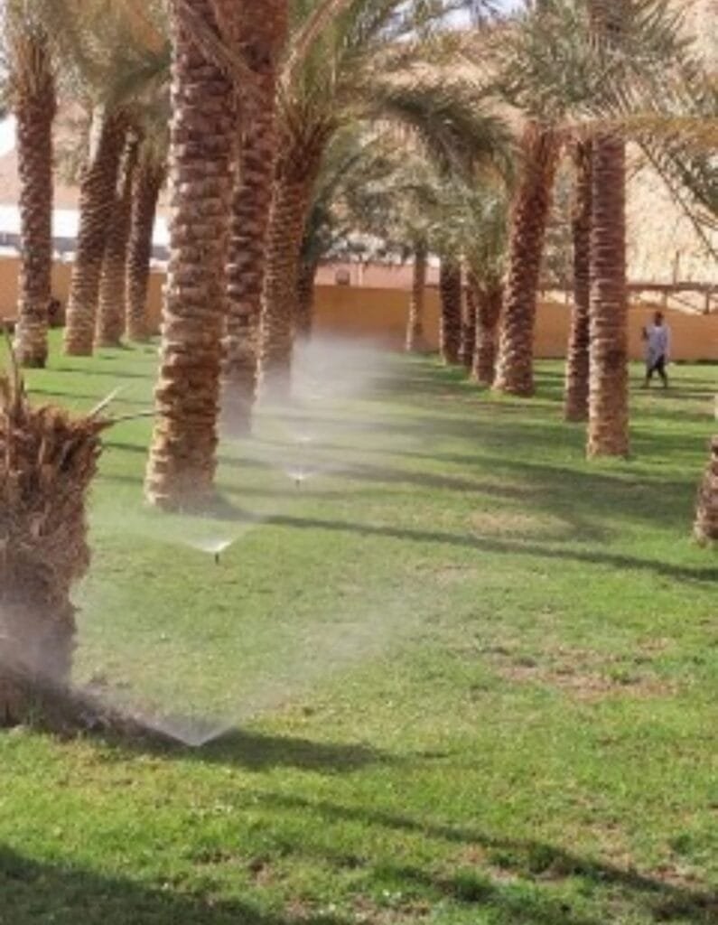 تصميم شبكات الري بالمدينة المنورة