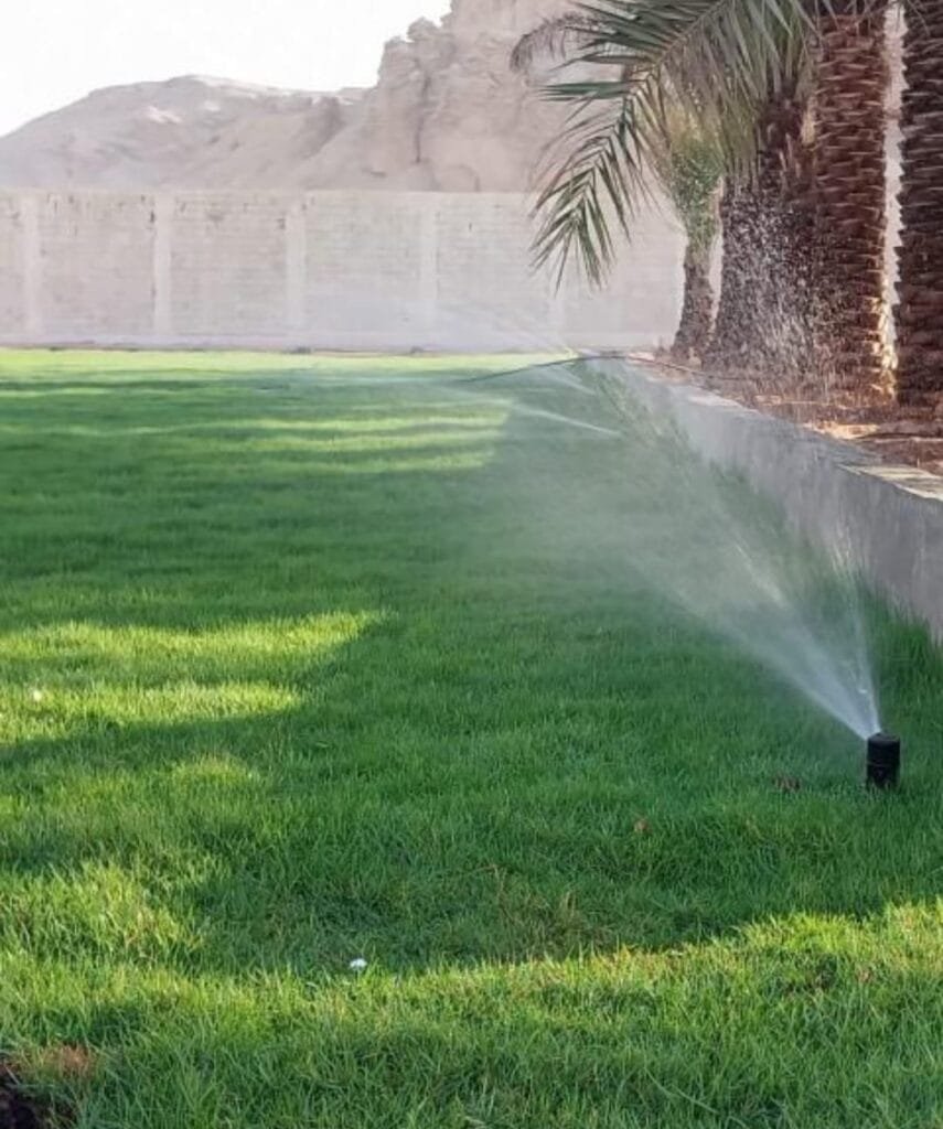 تصميم شبكات الري بالمدينة المنورة
