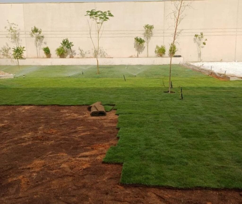 تصميم شبكات الري بالمدينة المنورة